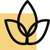 Modern Units